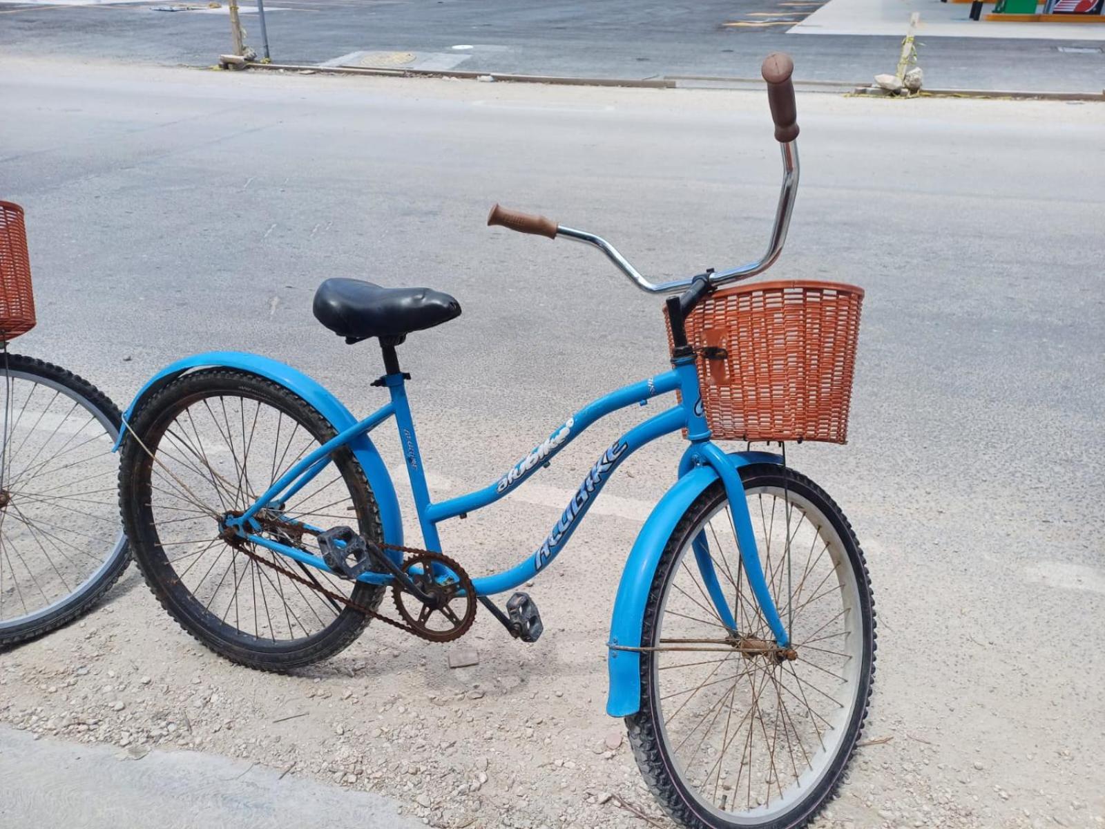 2 Bikes Free Exlusive Building Close To The Sea 图卢姆 外观 照片