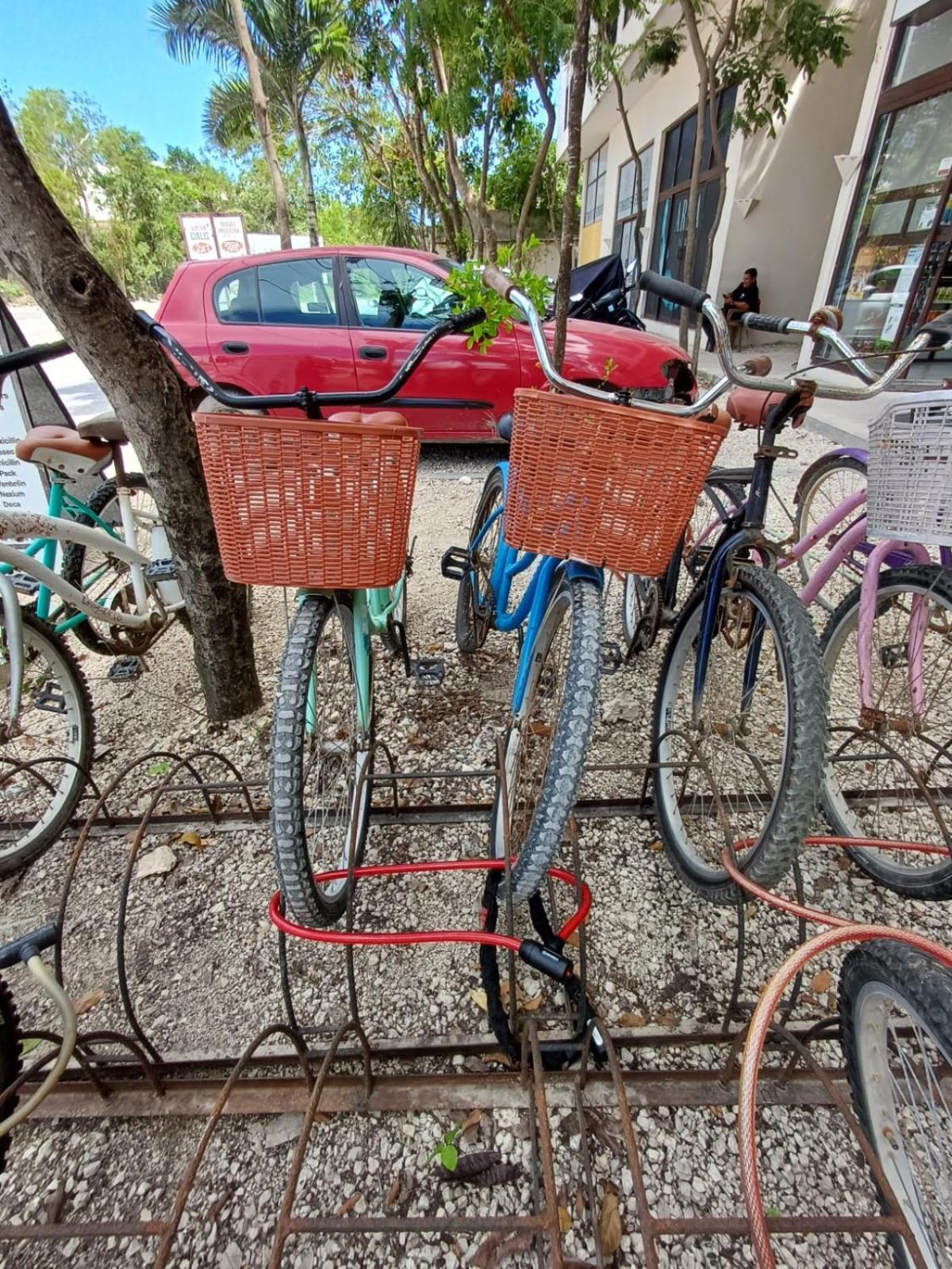 2 Bikes Free Exlusive Building Close To The Sea 图卢姆 外观 照片