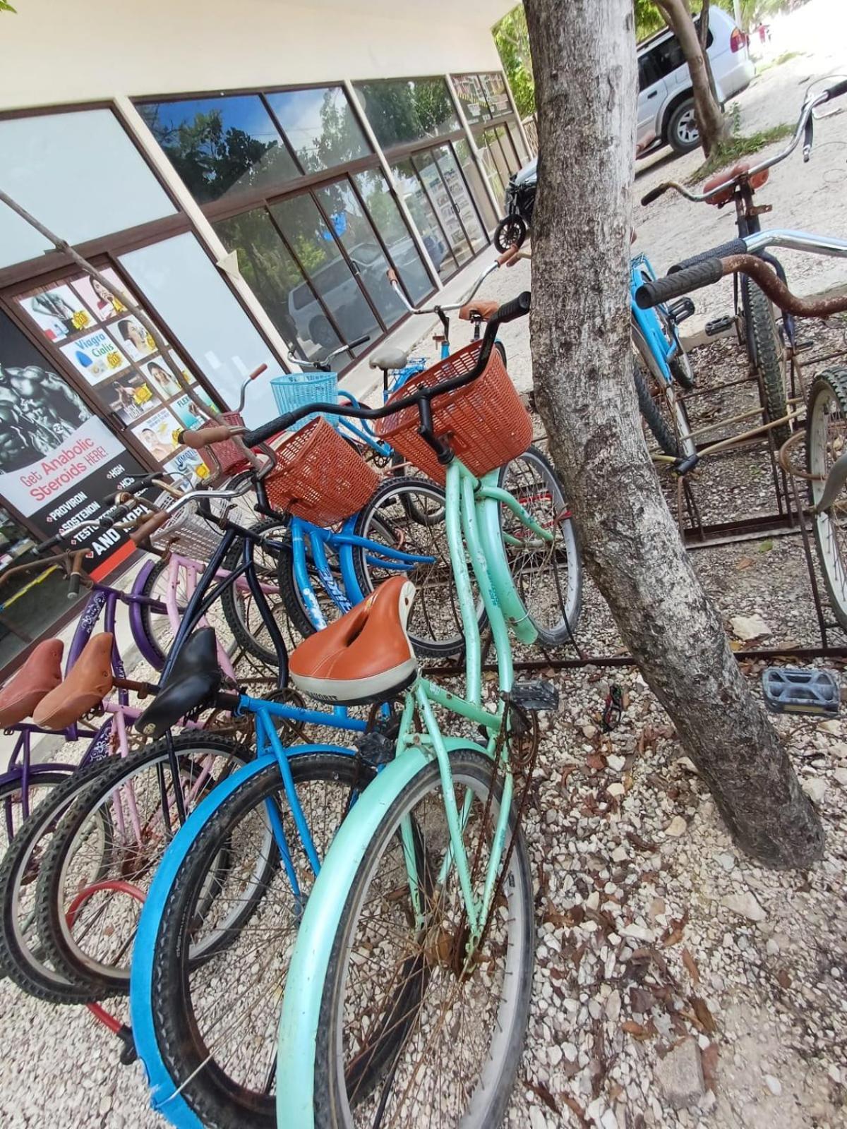 2 Bikes Free Exlusive Building Close To The Sea 图卢姆 外观 照片